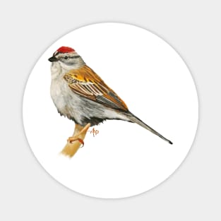 Colorful Chipping Sparrow Magnet